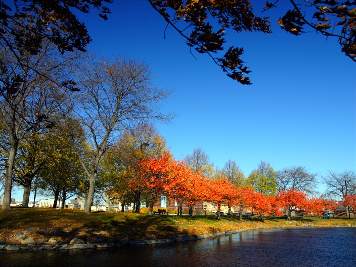 Boston während Indian Summer