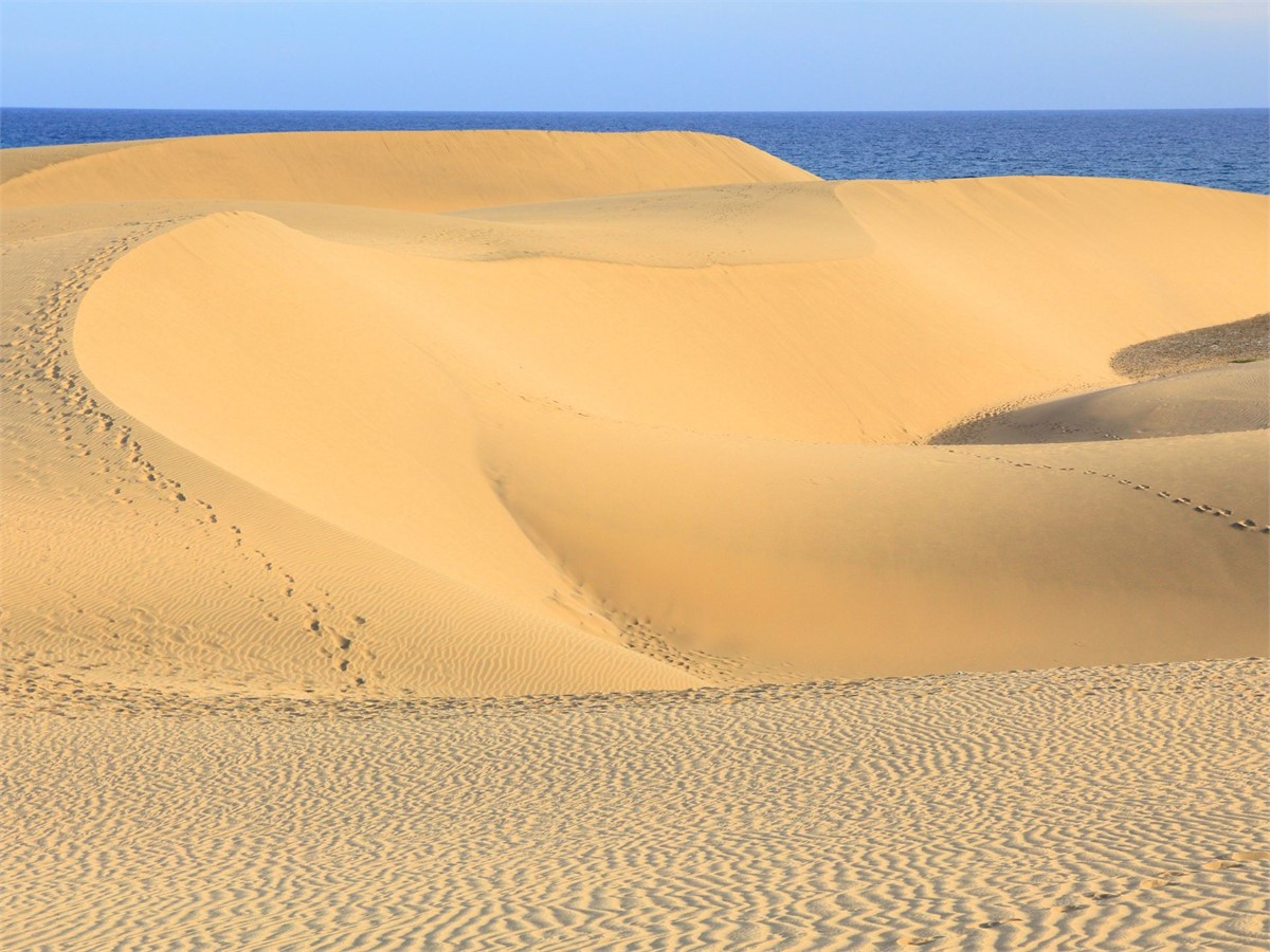 Die Dünen von Maspalomas auf Gran Canaria