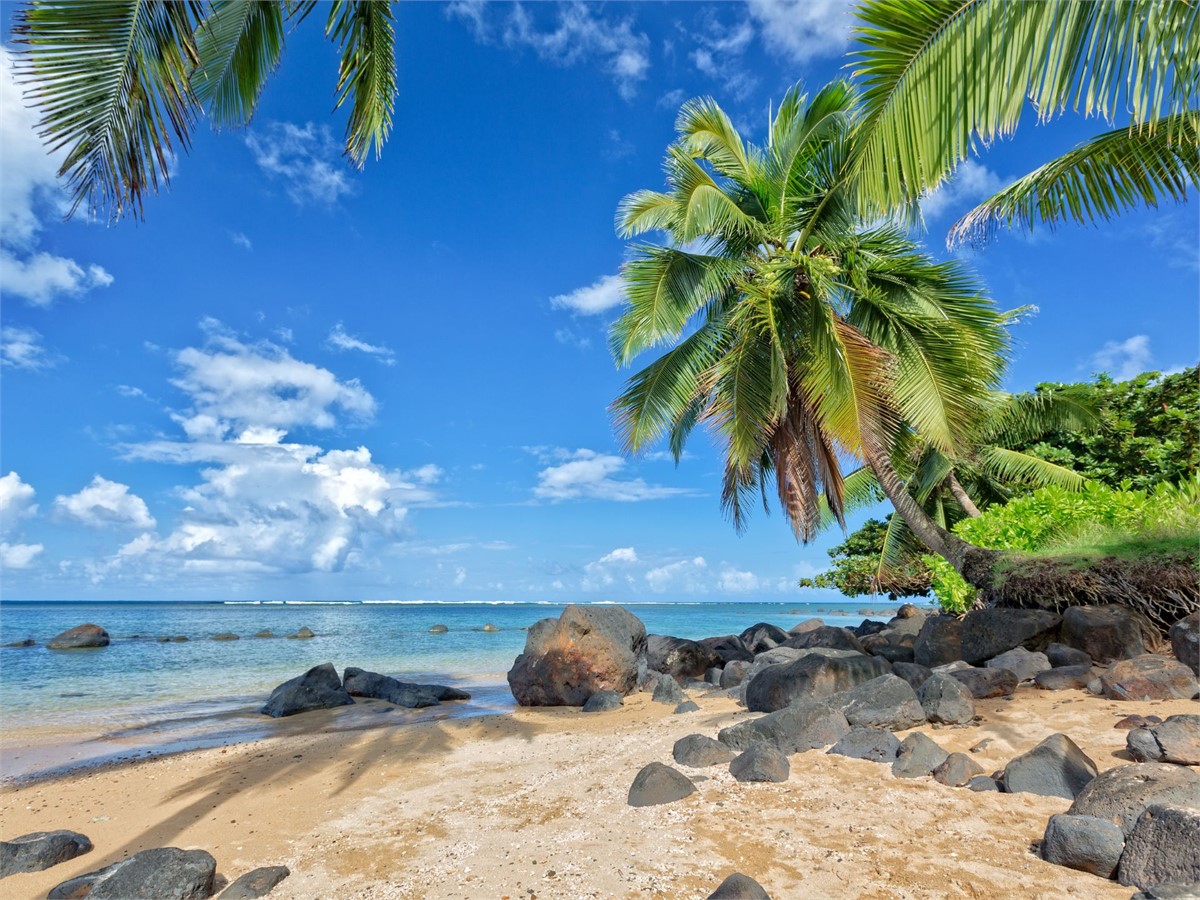 Hawaii Strand in Kauai auf Hawaii