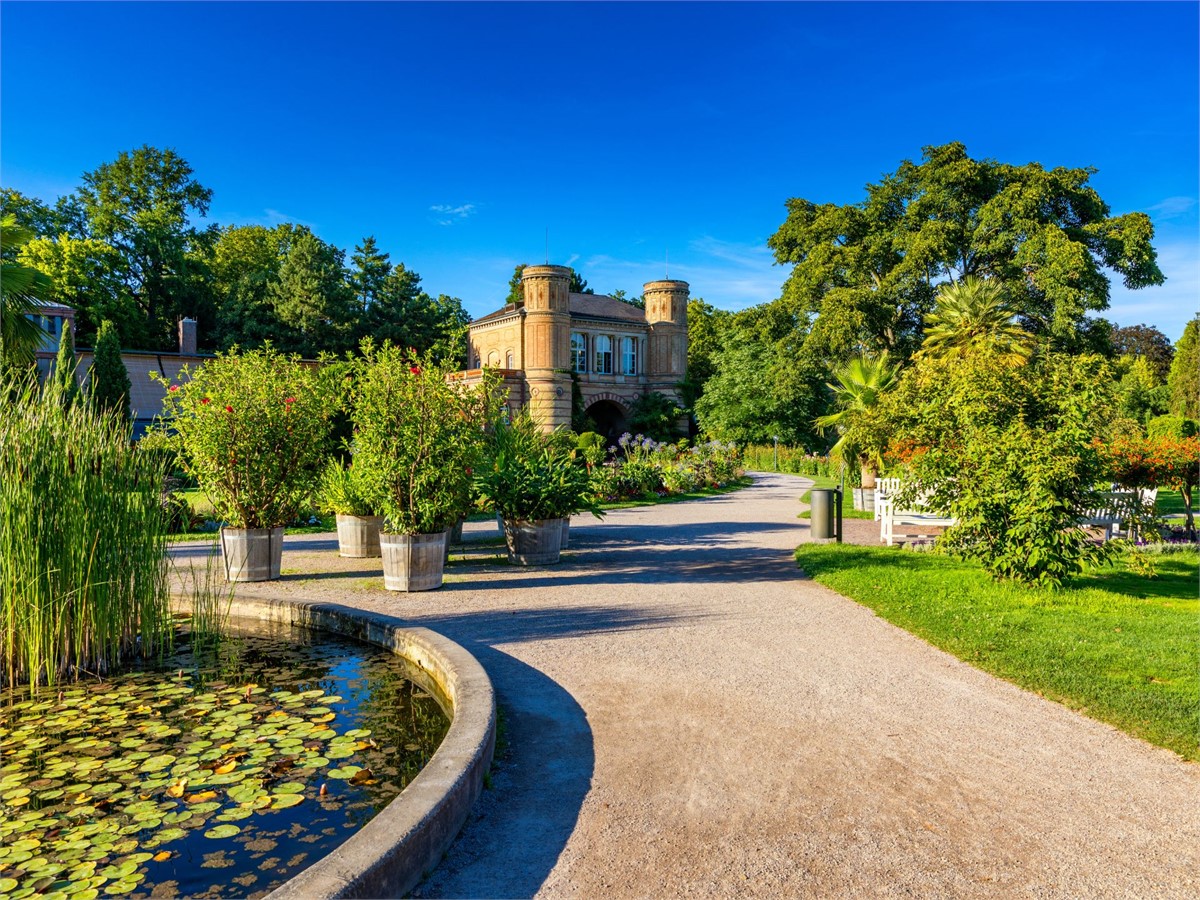 Botanischer Garten in Karlsruhe