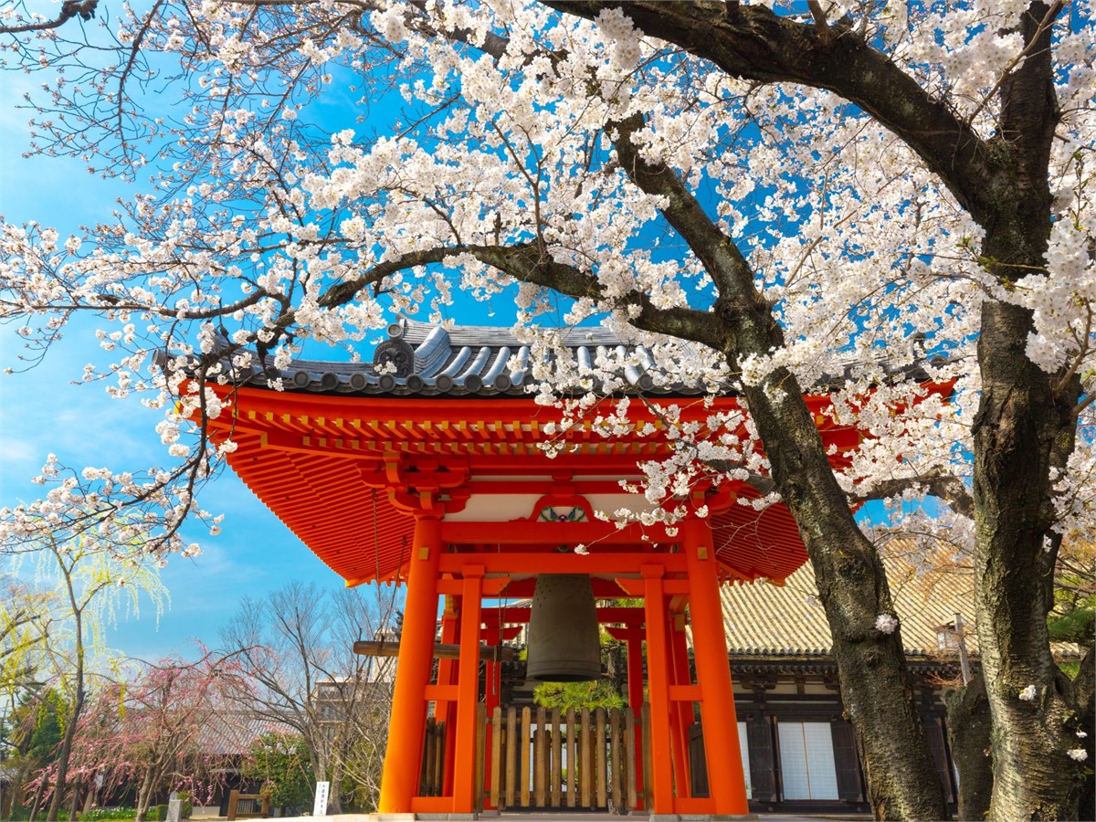 Sanjusangen do Shinto Temple in Kyoto