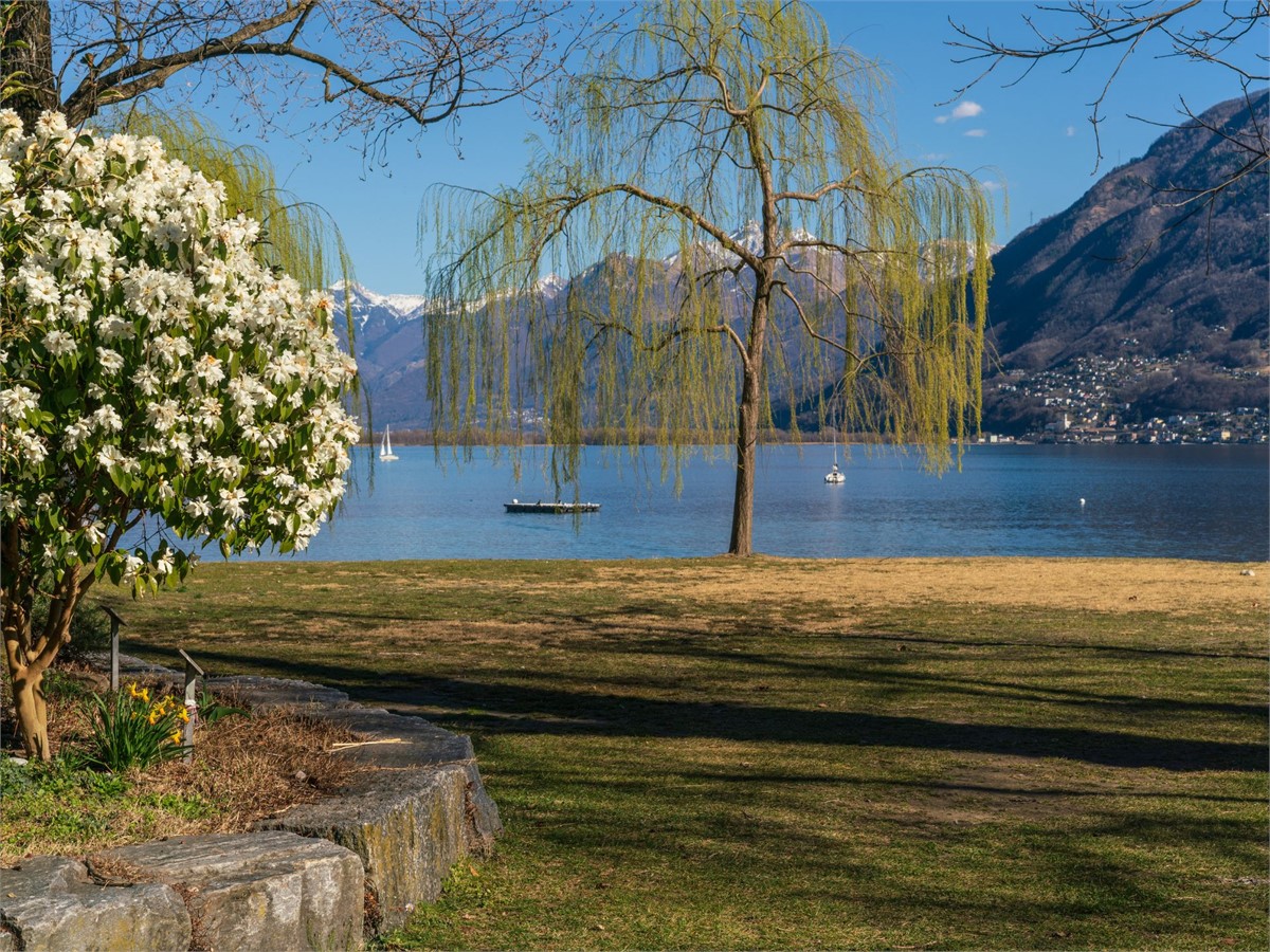 Camellia Park in Locarno