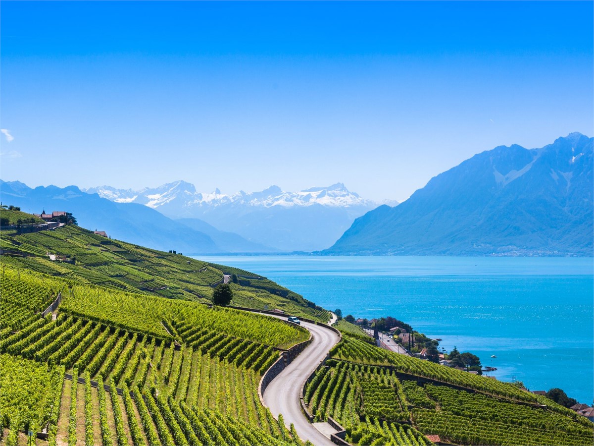 Lavaux Weinberge in Montreux