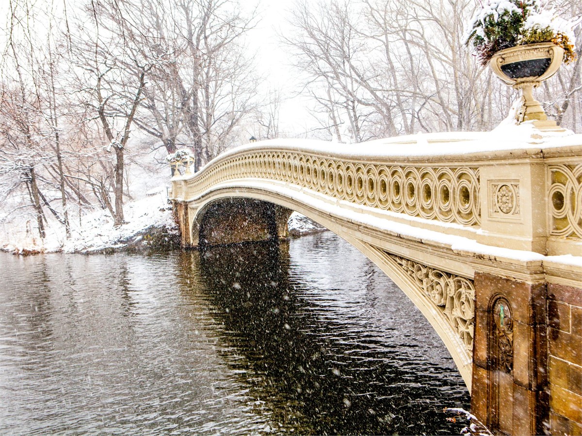 Central Park New York in Winter 