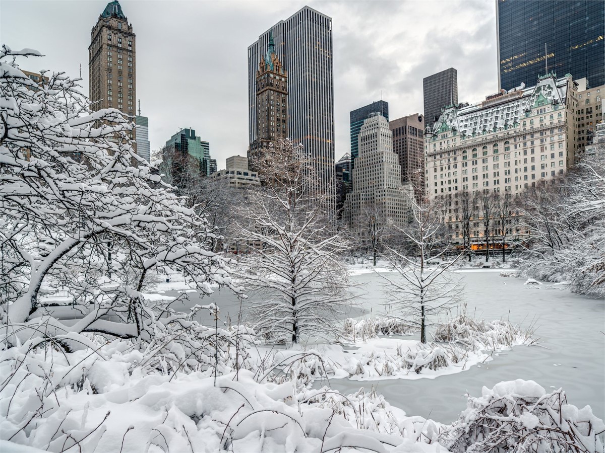 Central Park in New York in Winter