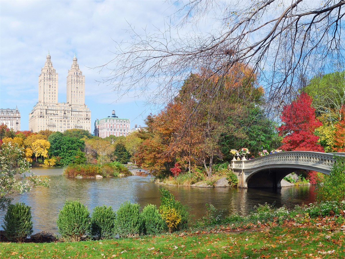 Central Park in New York