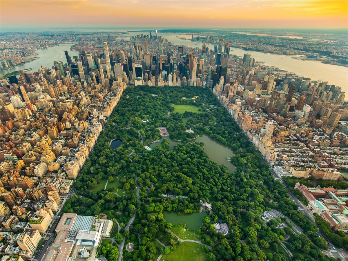 Central Park in New York