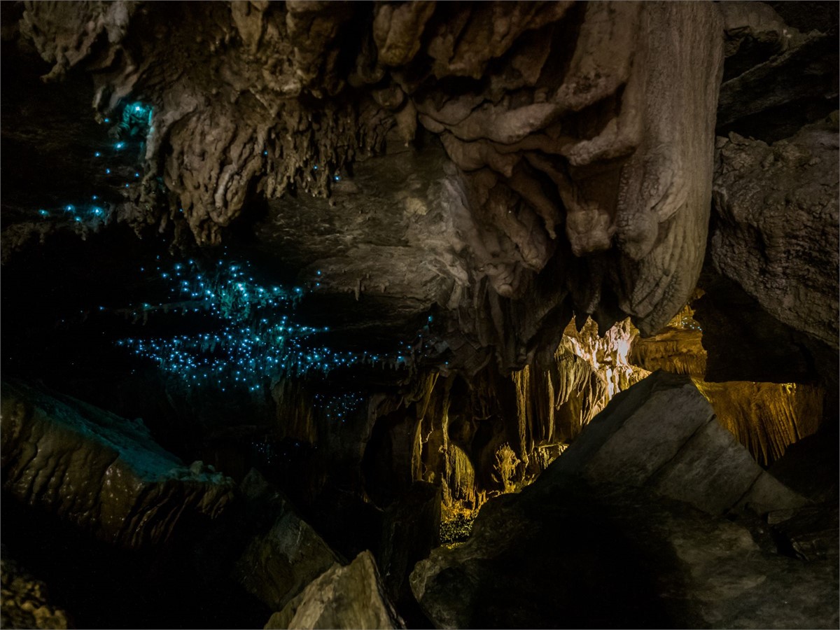 Glow worm caves in New Zealand