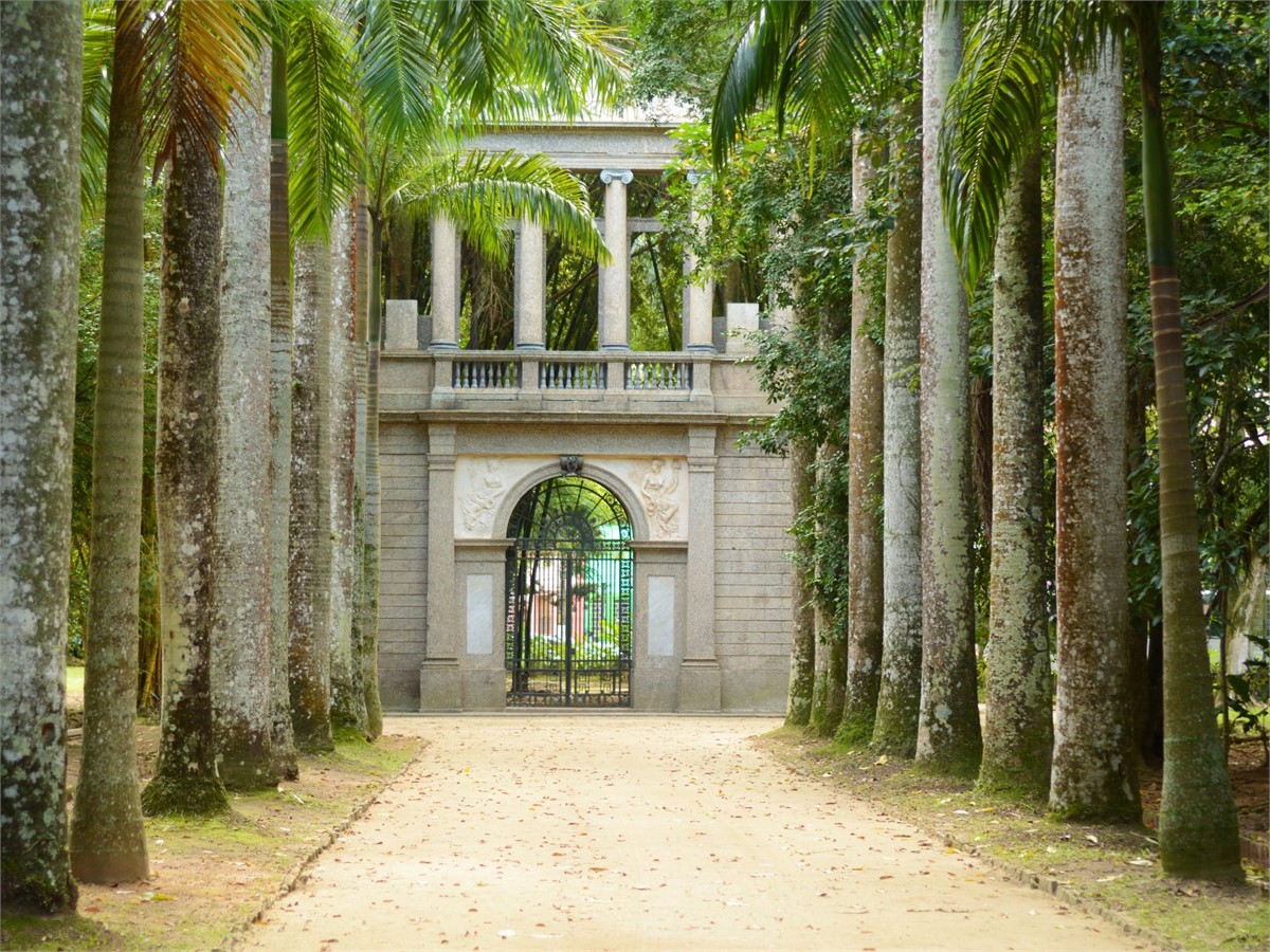 Botanical Garden in Rio de Janeiro