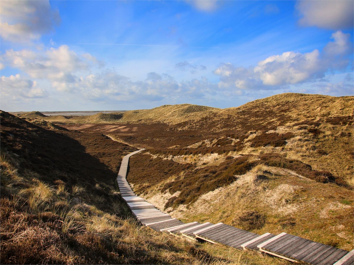 Dünenlandschaft auf Sylt