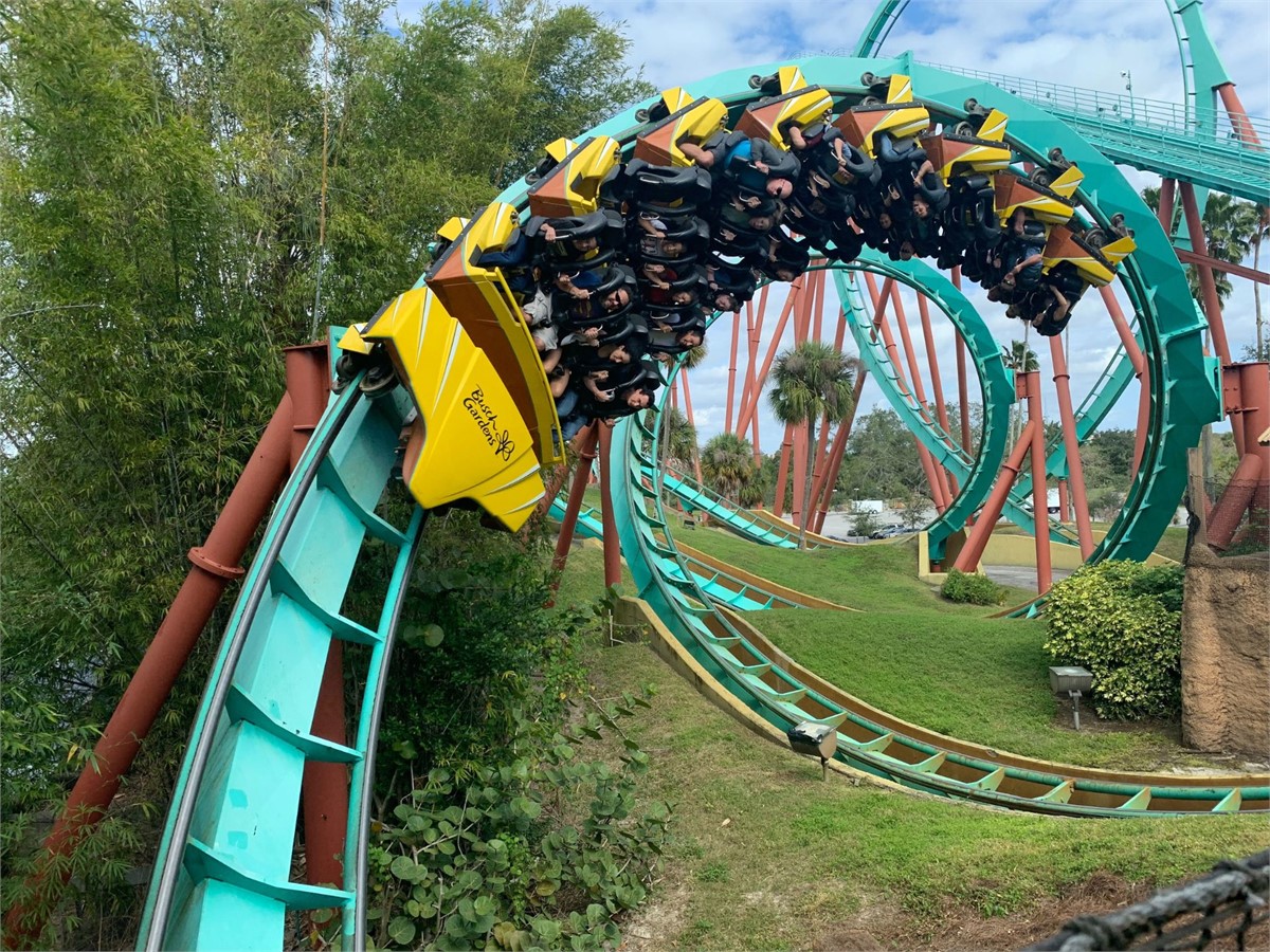 Busch Gardens in Tampa